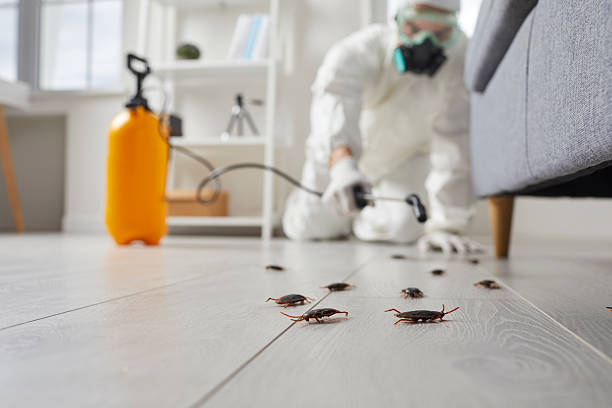 Post-Treatment Bed Bug Interceptor Monitoring in Village of the Branch