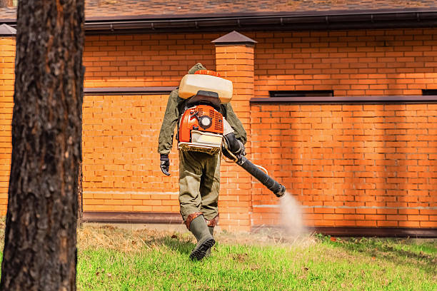 Bed Bug Clearance Verification and Documentation in Village of the Branch
